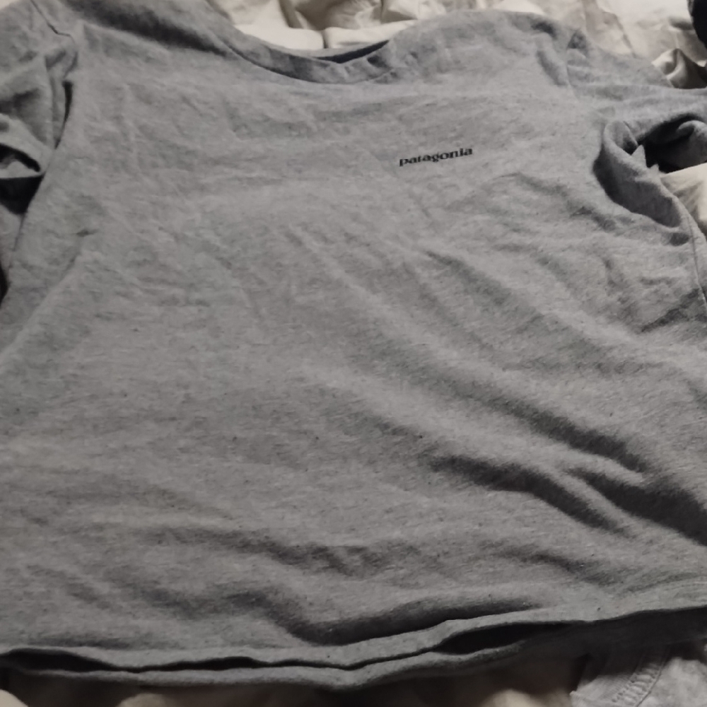 Patagonia Heather Gray Tee
